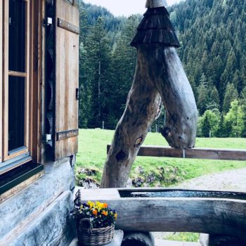 Almhütte Salzkammergut